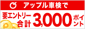アップル車検で車検予約&実施で合計3,000ポイントプレゼントキャンペーン