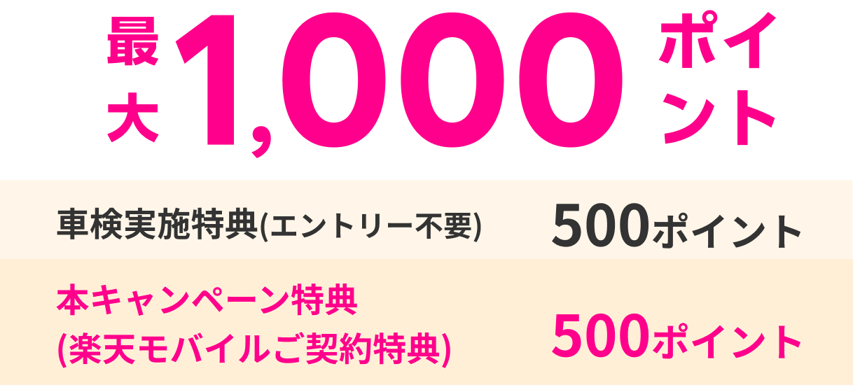 最大1,000ポイント