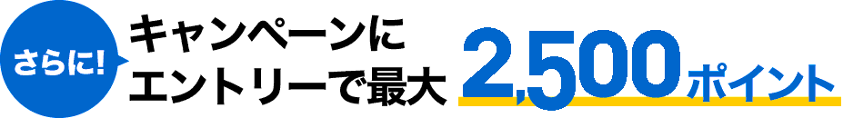 さらに! キャンペーンでポイントアップ 1500ポイント以上も!