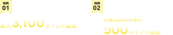 特典01 車検の予約＆実施で最大3,100ポイント進呈 + 特典02 期間内の車検の予約＆実施で先着1,000名様に500ポイント進呈
